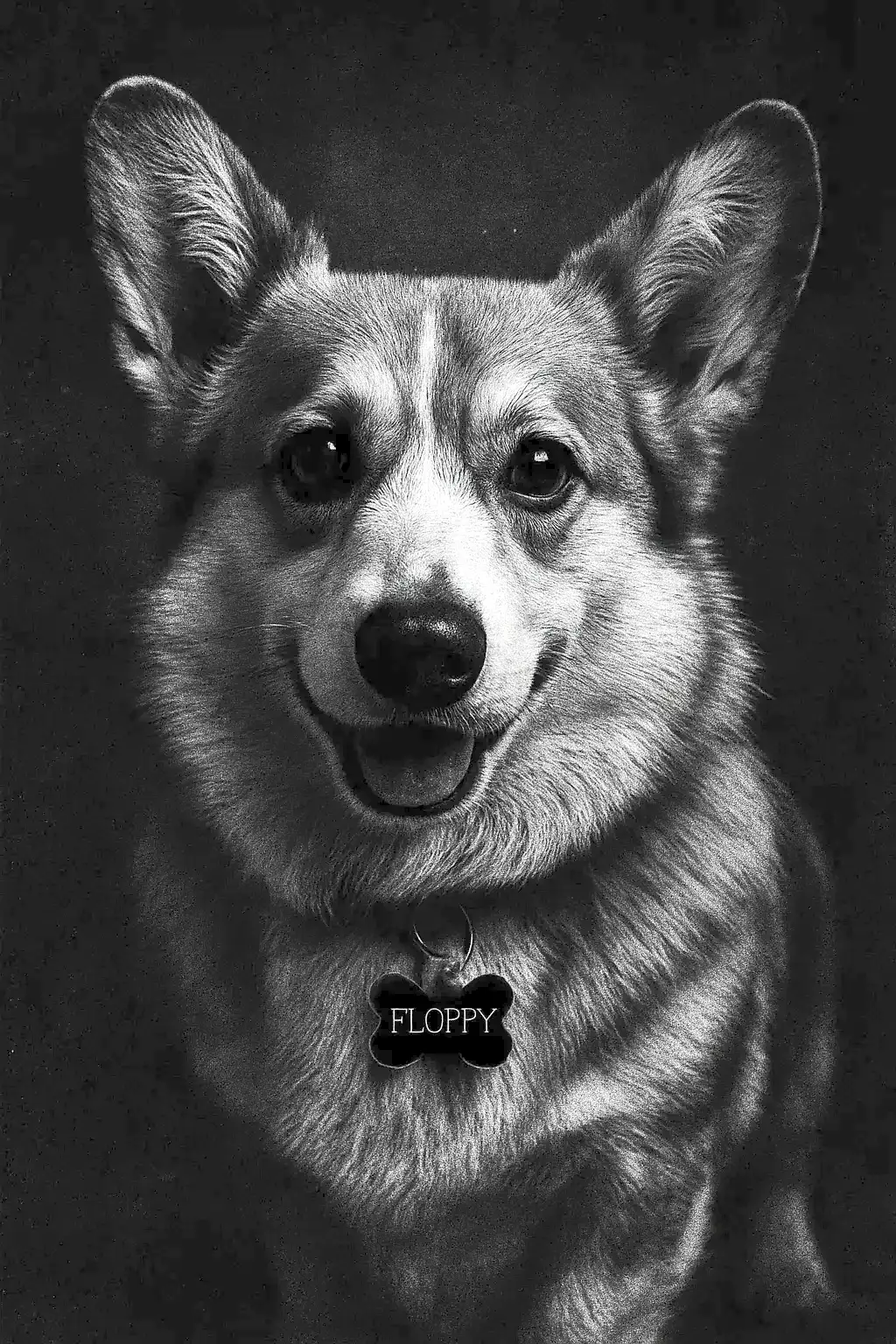 black and white dog AI generated portrait photo